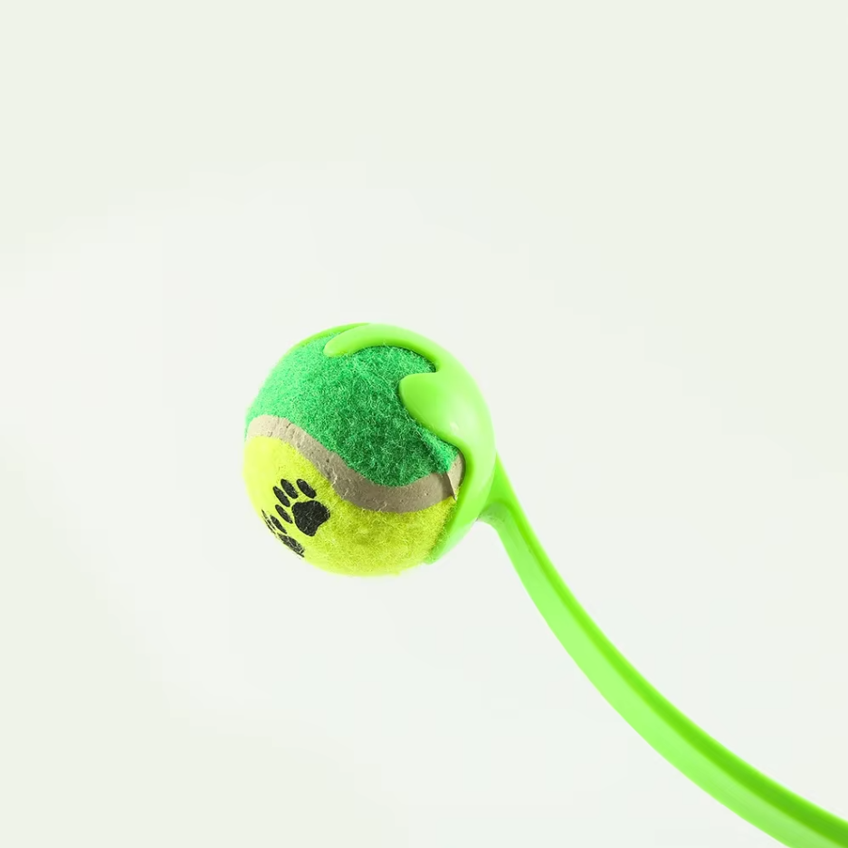 Toy with Ball and String - Interactive Throwing Set for Children