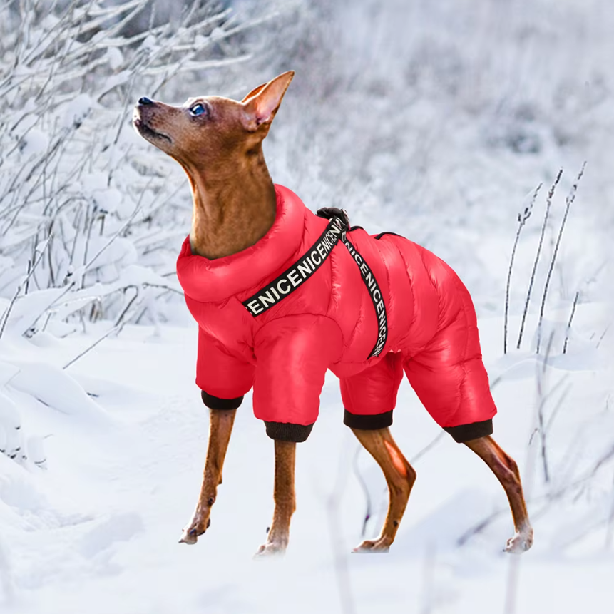 Dog Winter Coat For Cold Days