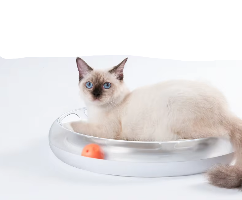 Interactive Cat Toy - Scratching Board With Balls For Hours Of Fun