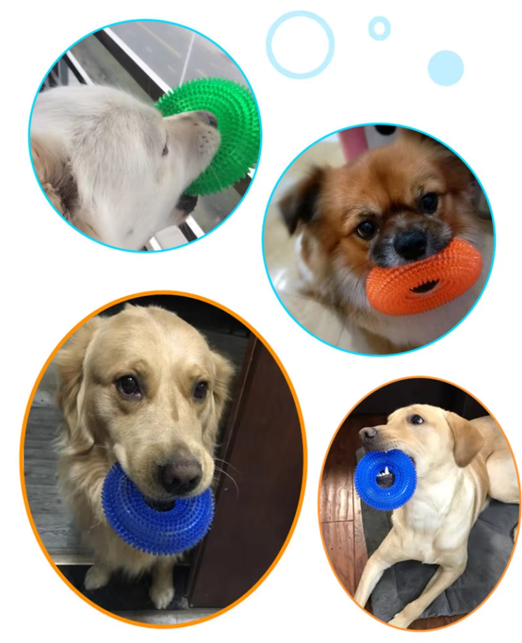 Dog Toy Chewing Ring - Robust Teething Toy For Dental Care Massage