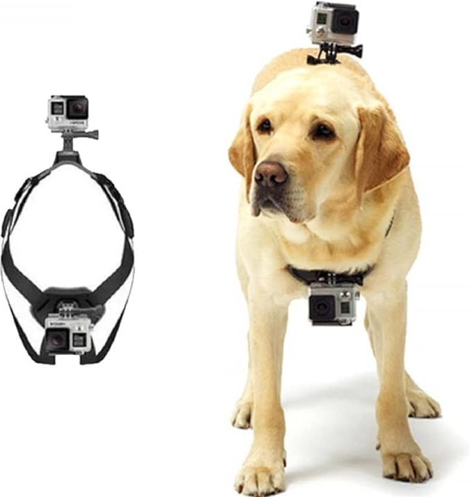 Action- Camera Harness For Dogs With Holder For Chest And Back