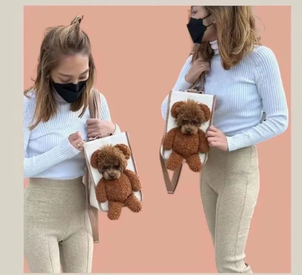 Elegant Handbag For Pets - Portable Transport Bag For Small Dogs And Cats