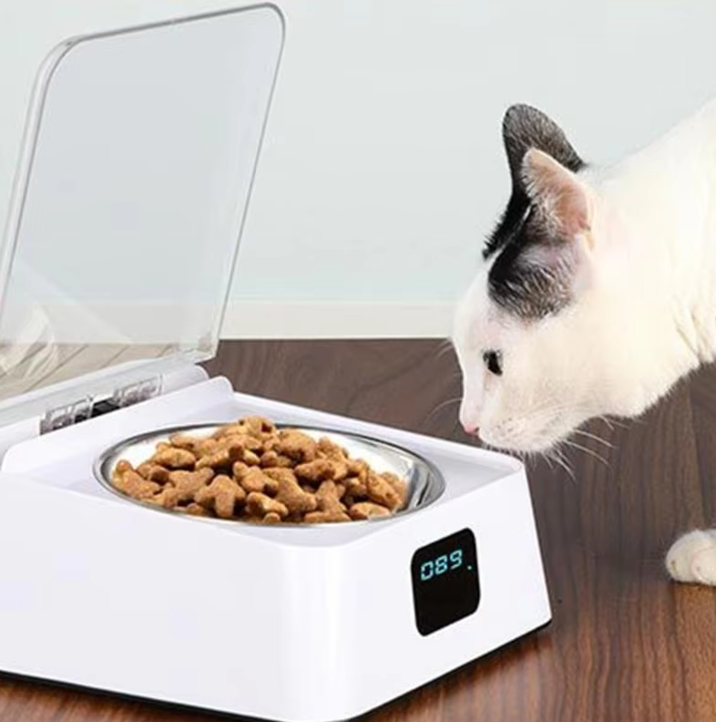 Automatic Food Dispenser For Cats With Digital Display And Lid