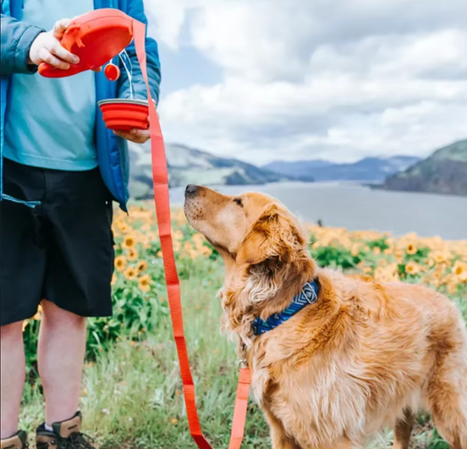 Dog Leash With Water Container Foldable Bowl And Waste Bags