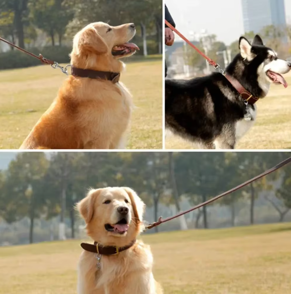 Leather Dog Lead With Golden Carabiner - Robust And Elegant Dog Accessory