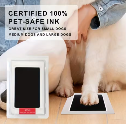 Paw Print Kit