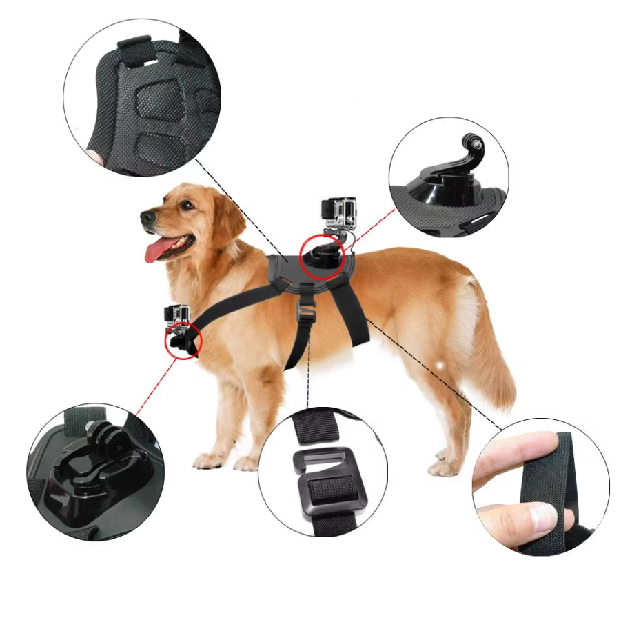 Action- Camera Harness For Dogs With Holder For Chest And Back