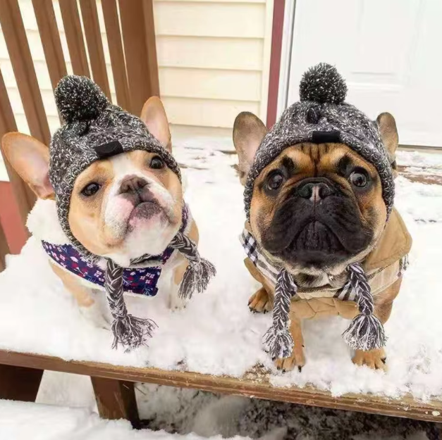 Stylish Dog Hat With Bobble - Warm Winter Hat For Small Dogs