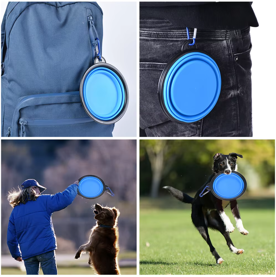 Collapsible Dog Cup With Carabiner