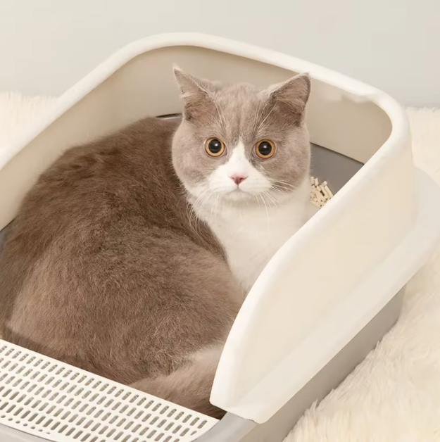 Cat Litter Tray With High Rim - Practical And Hygienic