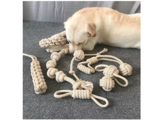 Robust Chew Toy Set Made Of Rope - Long - Lasting Fun For Dogs
