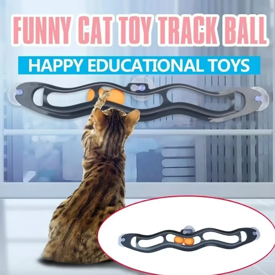 Window Ball Track - Exciting Cat Toy