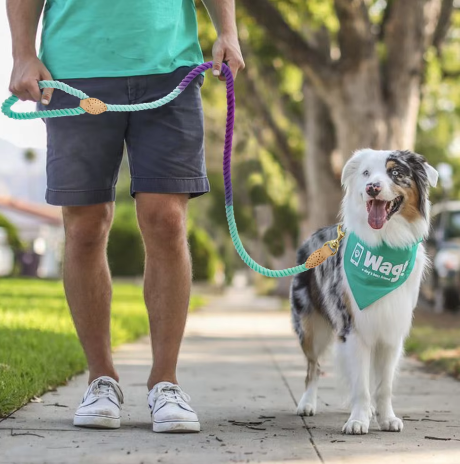 Colourful Cotton Rope Dog Leash - Robust Spiral Dog Leash With Snap Hook