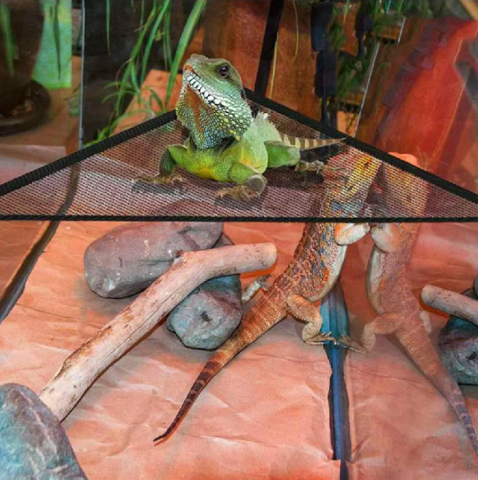 Hammock For Reptiles - Net Hammock With Suction Cups For Terrariums