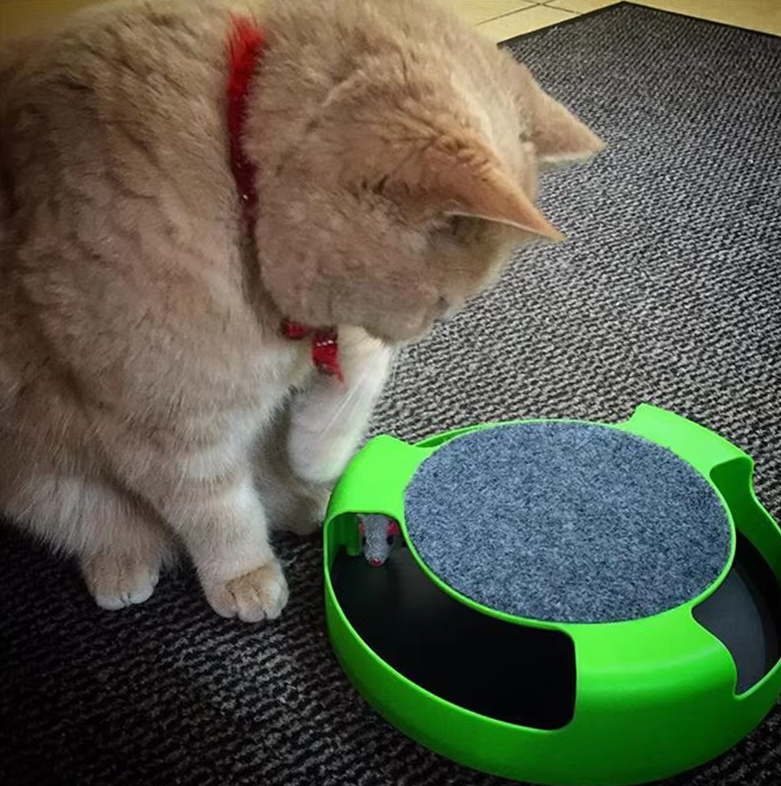 Interactive Cat Toy With Mouse - Toy With Movable Mouse For Cats