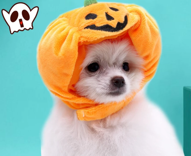 Cute Halloween Pumpkin Dog Costume - With Smiling Pumpkin Design For Small Dogs