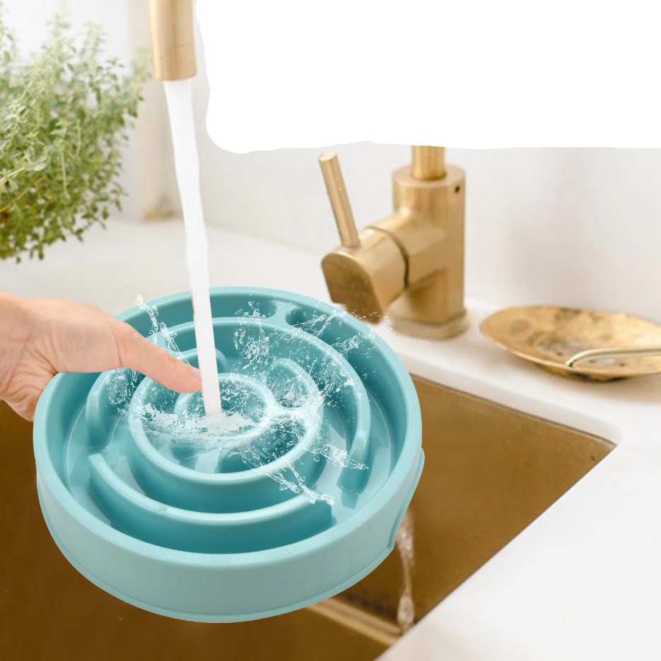Slow Food Bowl For Dogs