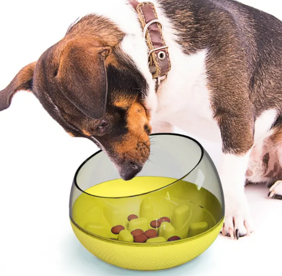 Interactive Food Bowl For Dogs - Slow Food Intake To Support Health