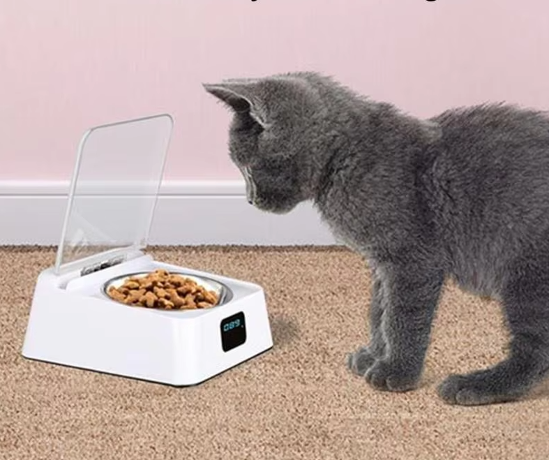 Automatic Food Dispenser For Cats With Digital Display And Lid