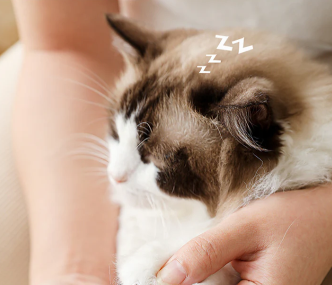 Digital Claw Grinder for Pets with Led Display and Quiet Operation