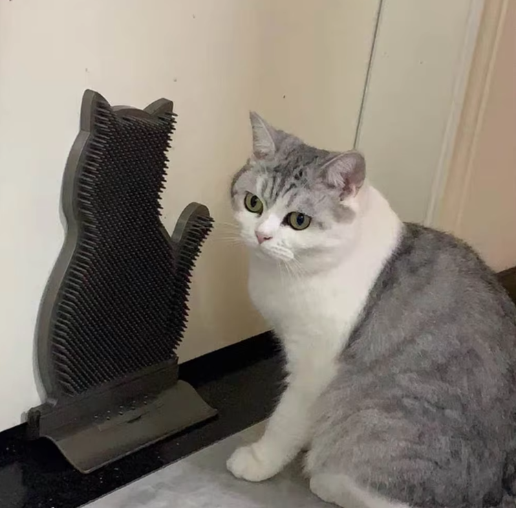 Cat-shaped Silicone Towel Holder With Anti-slip Function Function