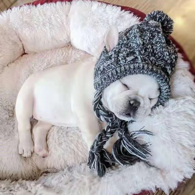 Stylish Dog Hat With Bobble - Warm Winter Hat For Small Dogs