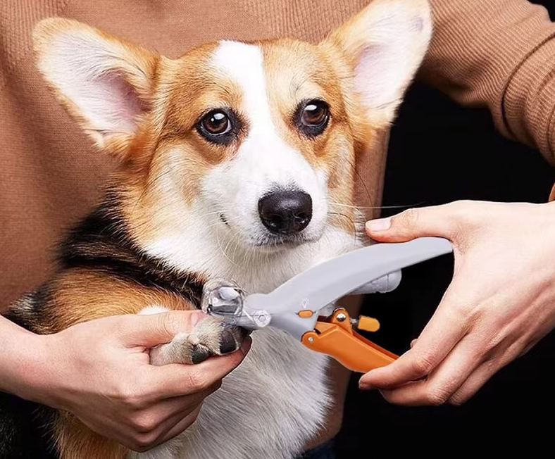 Claw Clippers For Pets - Precise Safe Claw Clippers With Led Light Magnifying Glass