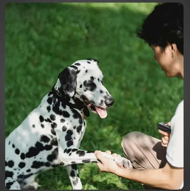Portable Dog Trainer With Remote Control