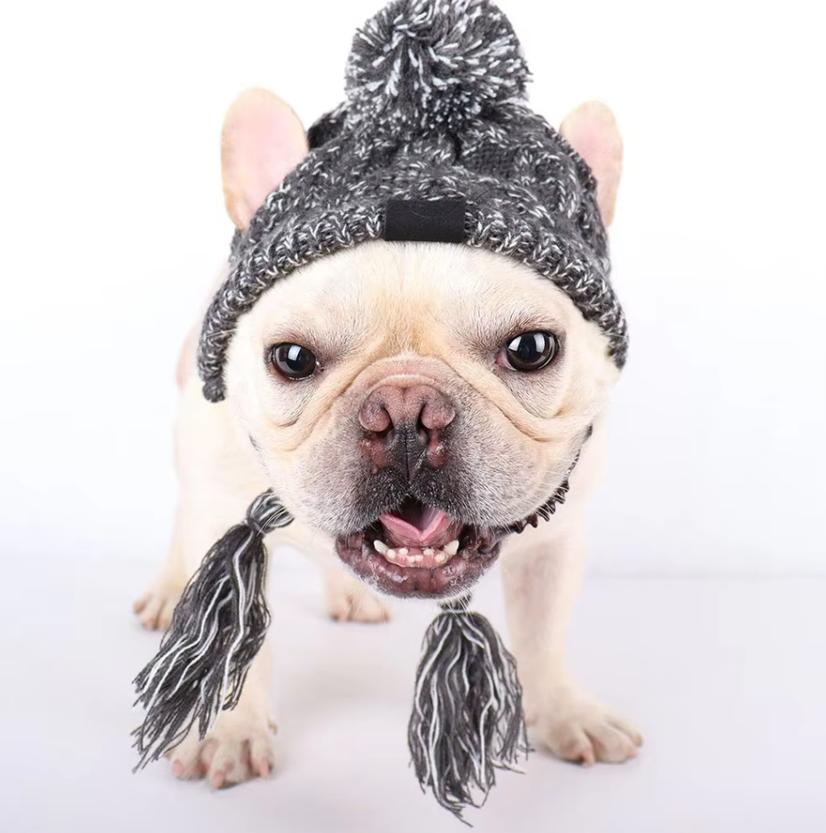 Knitting Hat For Pets With Pompom And Pigtails In Pink