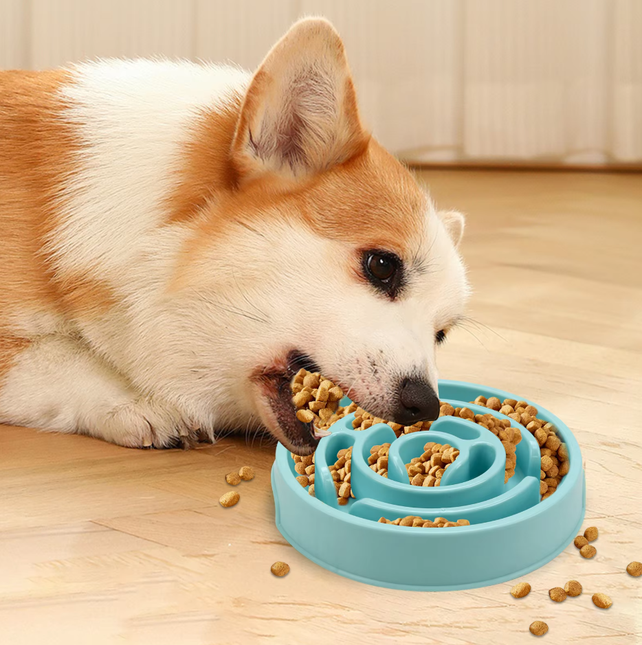 Slow Food Bowl For Dogs