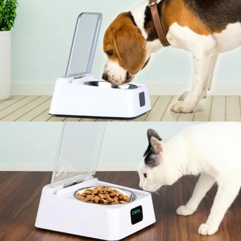 Automatic Food Dispenser For Cats With Digital Display And Lid