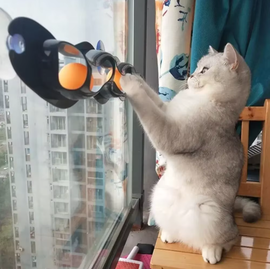 Window Ball Track - Exciting Cat Toy