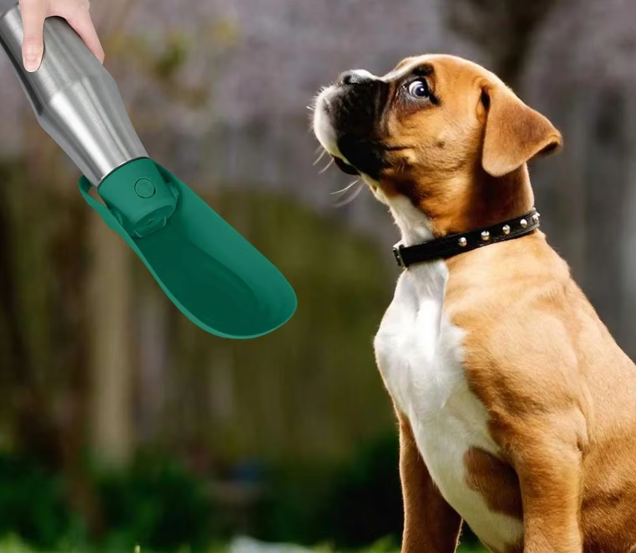 Stainless Steel Drinking Bottle For Dogs - Portable Water Dispenser With Foldable Bowl
