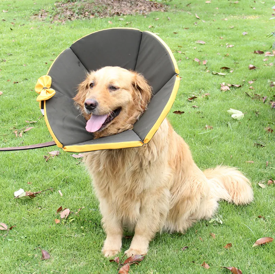 Soft Dog Collar With Comfort - Protective Collar For Dogs After Operations In Yellow And Brown