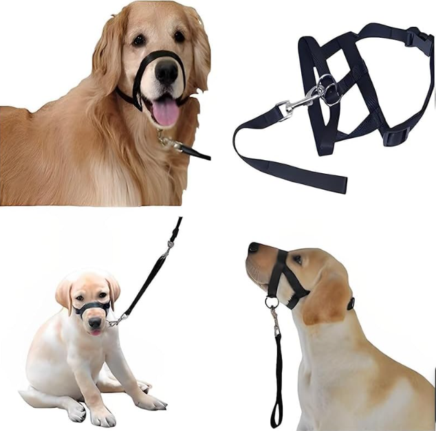 Adjustable Dog Harness With Lead - Comfortable Halter For Small And Medium-sized Dogs