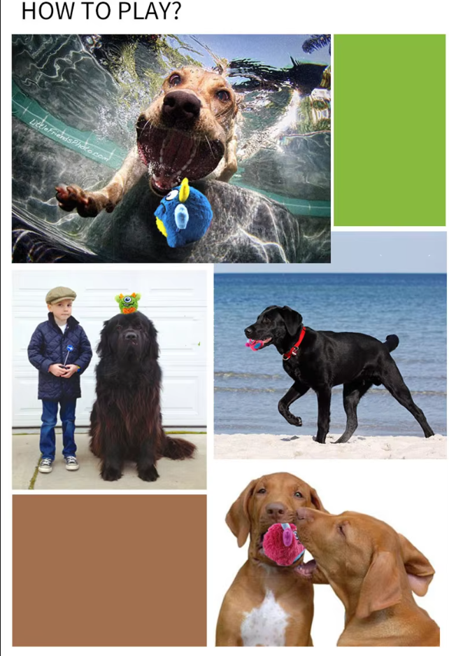 Interactive Plush Monster Ball - Fun Toy For Dogs