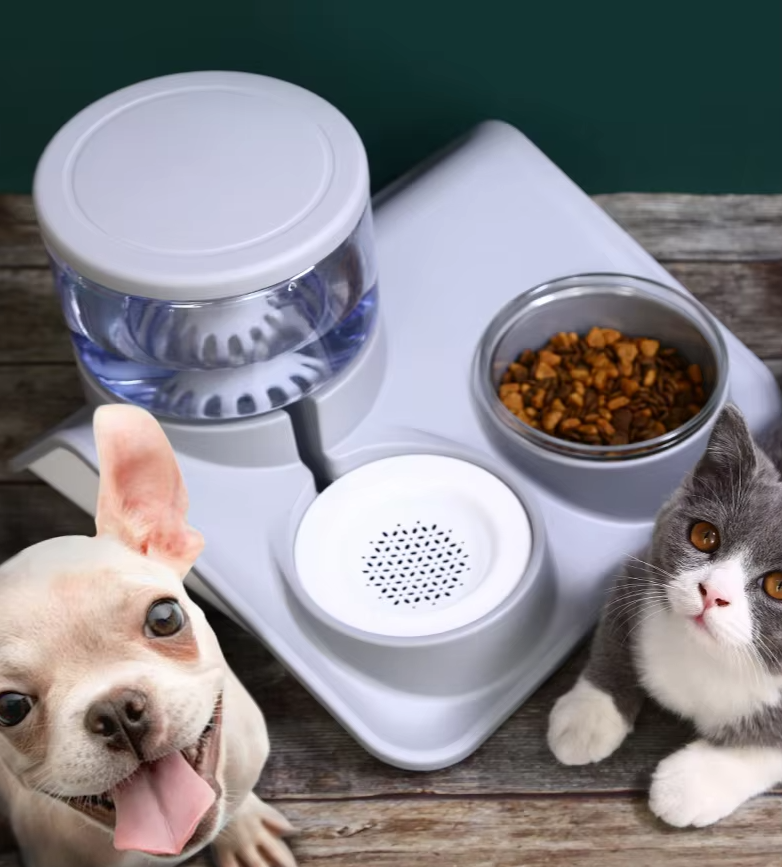 Water And Food Bowl For Pets - 2-in-1 System With Practical Base