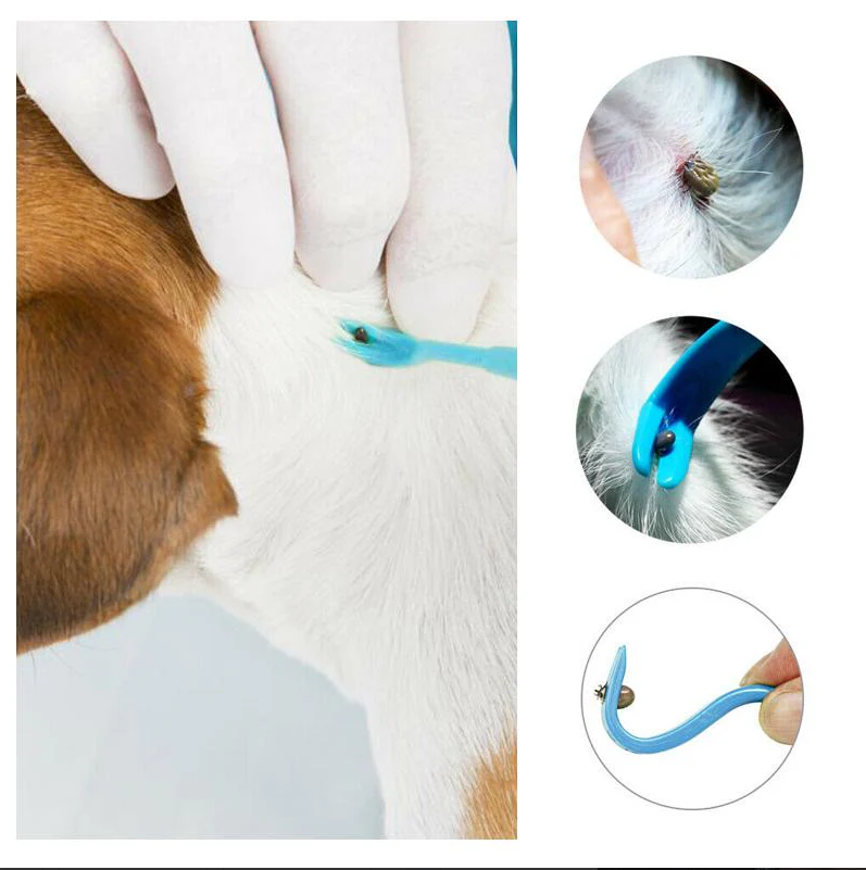 Pet Tick Hook Set ( 3 Pieces )