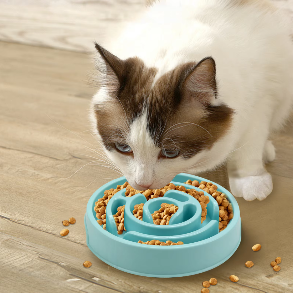 Slow Food Bowl For Dogs