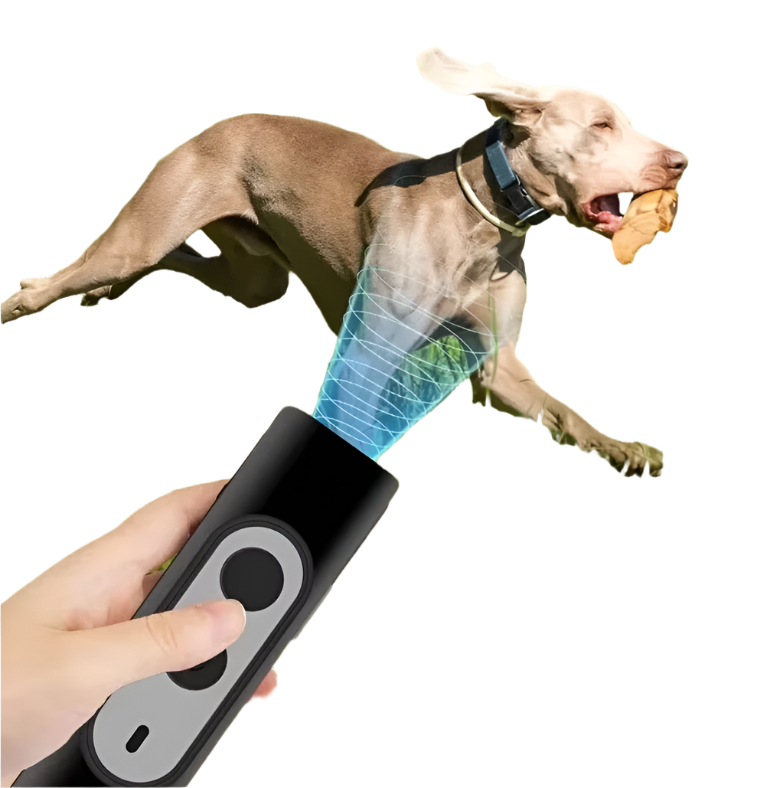 Portable Dog Trainer With Remote Control