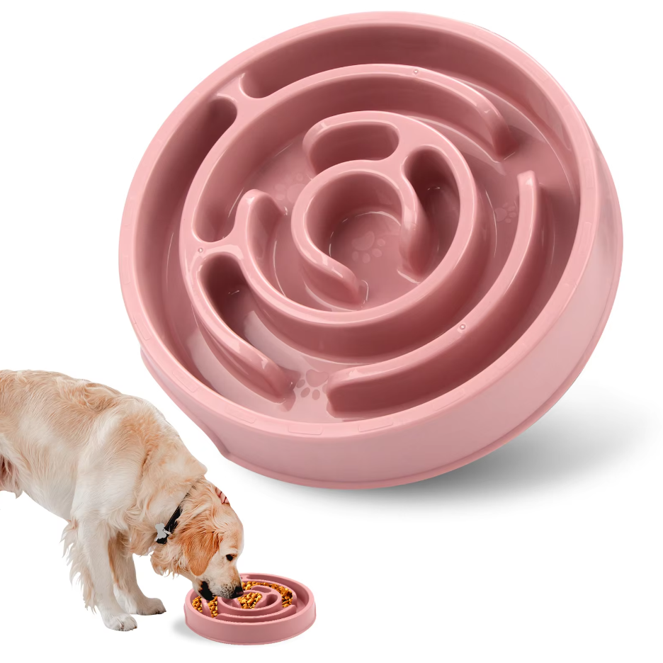 Slow Food Bowl For Dogs
