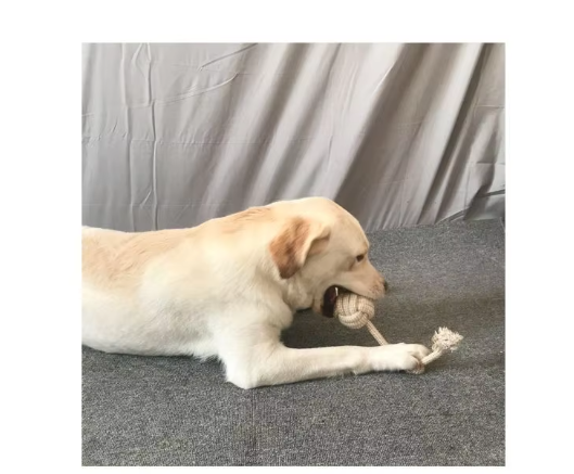 Robust Chew Toy Set Made Of Rope - Long - Lasting Fun For Dogs