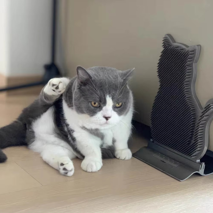 Cat-shaped Silicone Towel Holder With Anti-slip Function Function