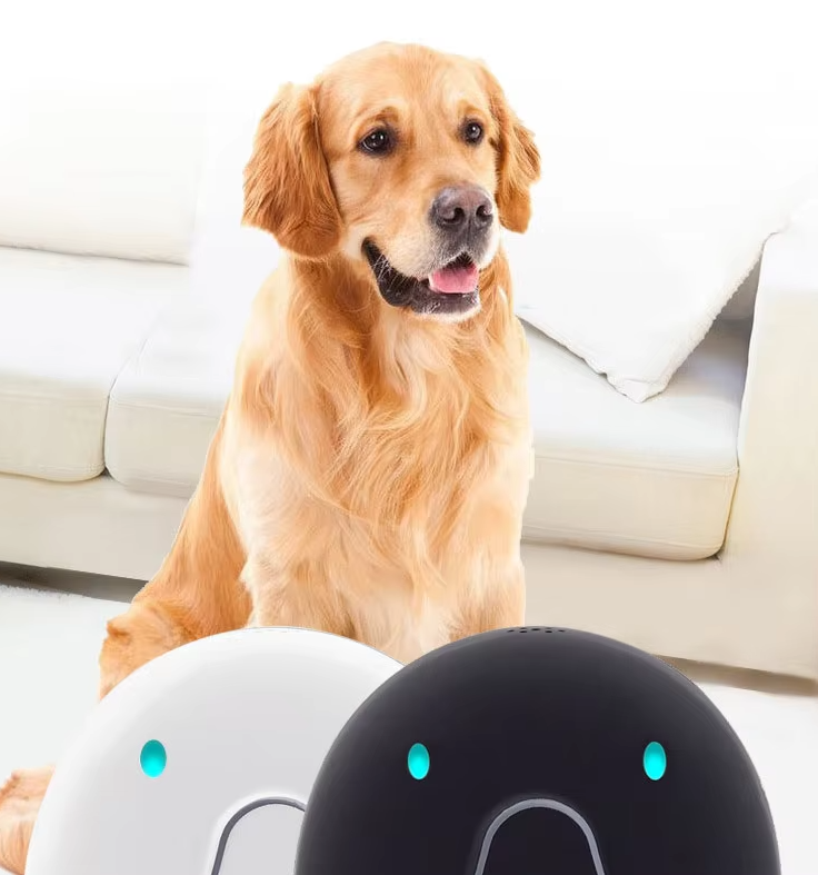 Dog Collar With Gps Tracker - Easy To Attach And Reliable