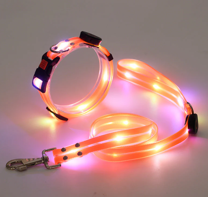 LED Dog Collar With Leash For Safe Walks