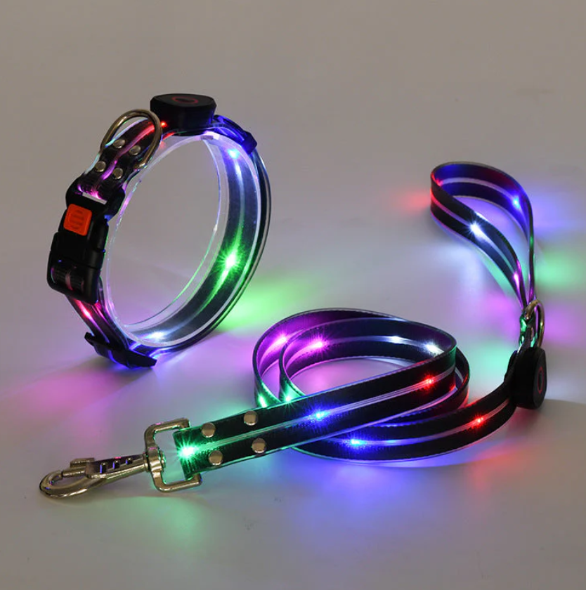 LED Dog Collar With Leash For Safe Walks