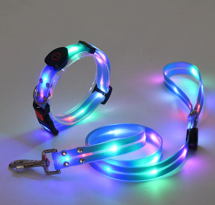 LED Dog Collar With Leash For Safe Walks