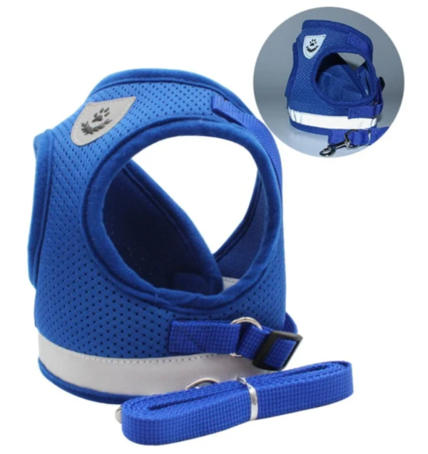 Cat Harness with Leash