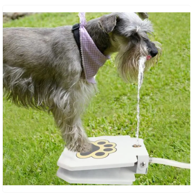 Tread-proof Outdoor Dog Drinking Fountain With Water Connection And Paw Activation