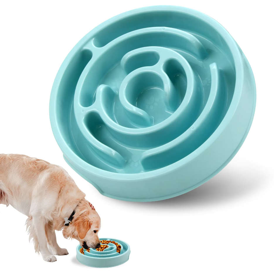 Slow Food Bowl For Dogs